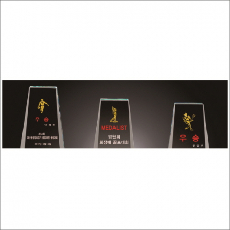 화이트 크리스탈 트로피12 #2