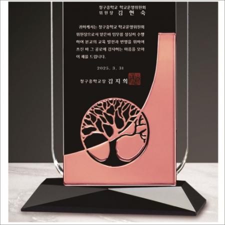 금속 투톤 크리스탈 상패15 #3