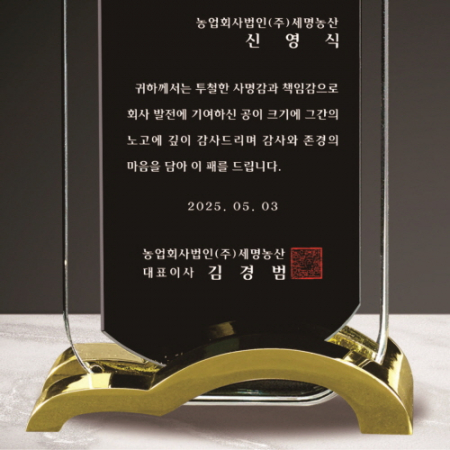 금속 투톤 크리스탈 상패11 #5