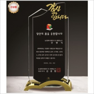 금속 투톤 크리스탈 상패11