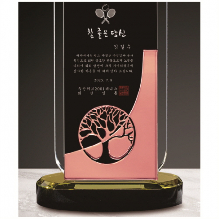 금속 투톤 크리스탈 상패6 #3