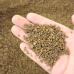작은이미지: 올지 파라솔용 왕사 모래 18kg 흙 마사토 모래 #5