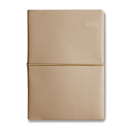 DV PRO1 밴드식 32절 다이어리 #7