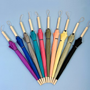 까르페디엠 60 데일리 파스텔 우드 자동장우산