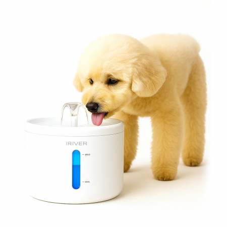 아이리버 강아지 급수기 고양이 펫 자동 정수기 자동 저소음 센서 반려동물 IA-AW303 #2