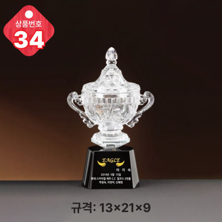크리스탈 트로피 32 #5