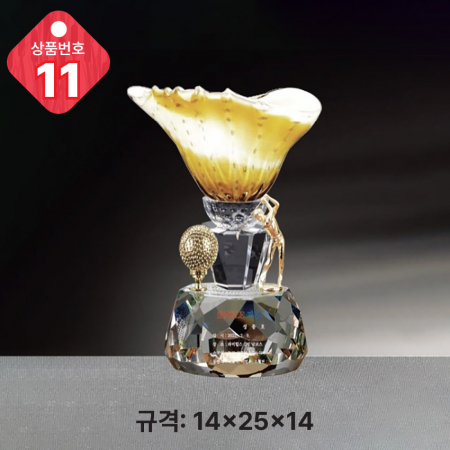 크리스탈 트로피 11 #2