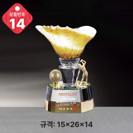 크리스탈 트로피 13 #3