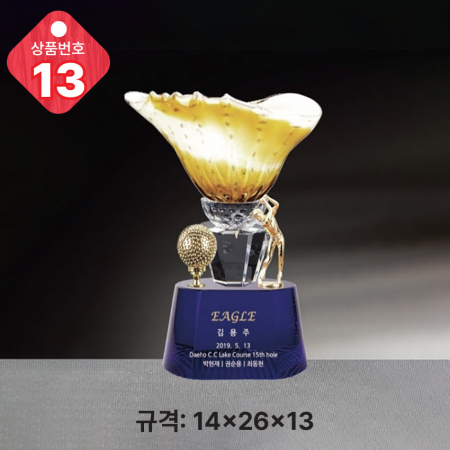 크리스탈 트로피 13 #2