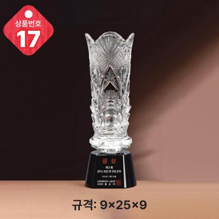 크리스탈 트로피 17 #3