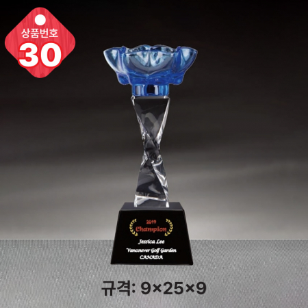 크리스탈 트로피 29 #3