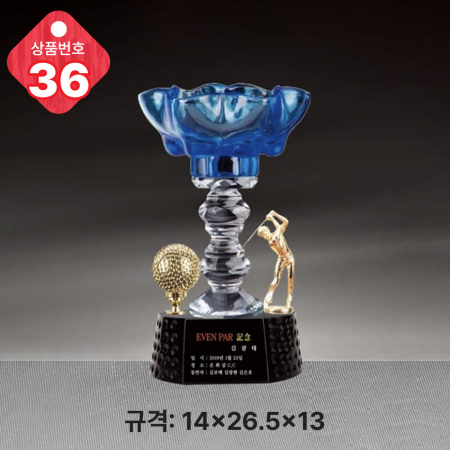 크리스탈 트로피 35 #4