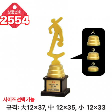 일반 조형 트로피 2554 #3