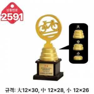 일반 조형 트로피 2591