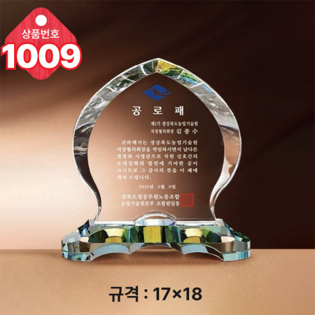 크리스탈 상패1008 #4