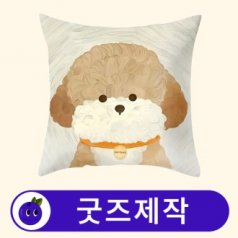 커스텀 사각 쿠션 폴리에스테르 // 굿즈제작