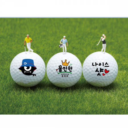 타이틀리스트 PRO V1x 9구 #4