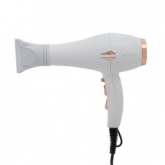 렉스퀸 블로우 헤어드라이기