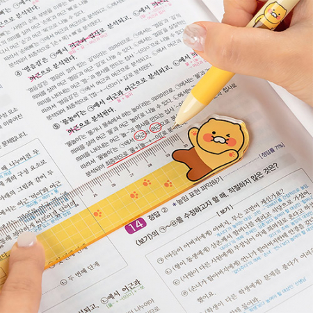 캐릭터 30cm 자 #2