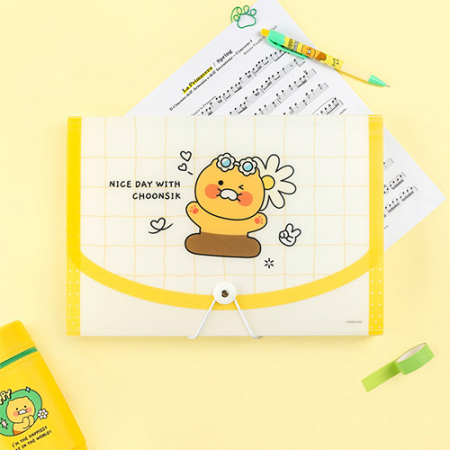 캐릭터 12포켓 아코디언 파일 #6