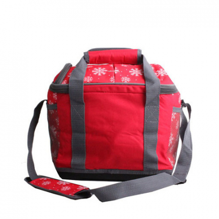 아이스 쿨러백C 10L #4