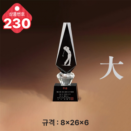 크리스탈 트로피 230 #3