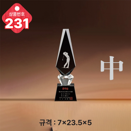 크리스탈 트로피 230 #4