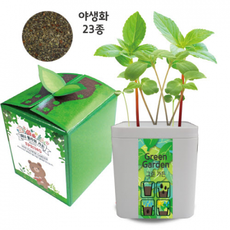 씨앗 그린 가든(야생화23종) #3