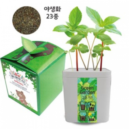 씨앗 그린 가든(야생화23종) #2