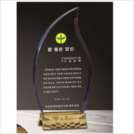 감사합니다받침 투톤 크리스탈 상패7 #2