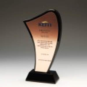 기업 감사 근속 공로패 E1113