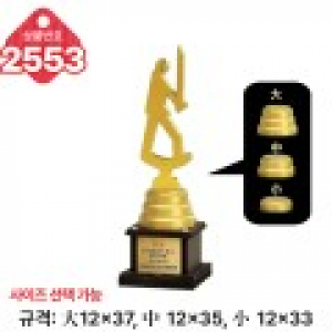 일반 조형 트로피 2553