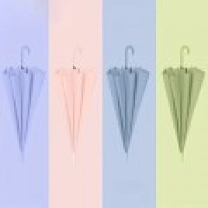 229 모던 프로스티드 롱 핸들 8리브 우산