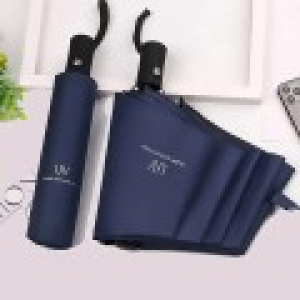 218 Wind Block 자동 개폐 우산