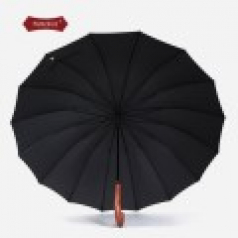 파라체이스 프리미엄 대형 자동 장우산
