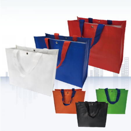 타포린백 중형 35X30X15cm #3