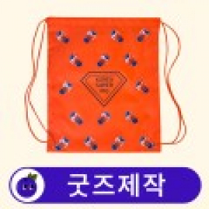 커스텀 슈즈백 스트링백 스포츠가방 보조가방 // 굿즈제작