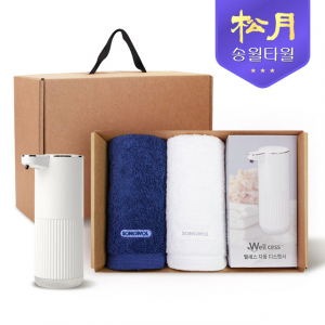 [송월타올] 디스펜서 기프트세트 05, 포인트 타올 200gx2P + 웰세스 디스펜서 360ml 1P