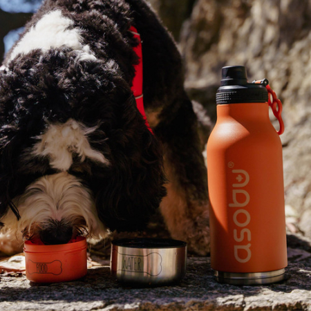 아소부 다용도 스텐 진공 펫텀블러 버디 1L #6