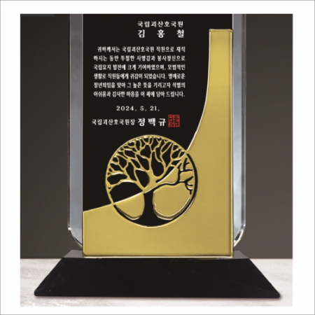 투톤 크리스탈 상패 421 -나무 #4