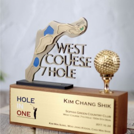 금속트로피 원목트로피 TB-720 #2