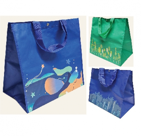 디자인타포린가방 타포린백 타포린장바구니 타포린가방 #2