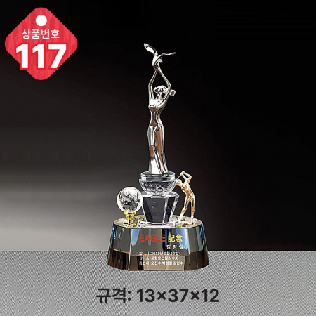 크리스탈 트로피 115 #6