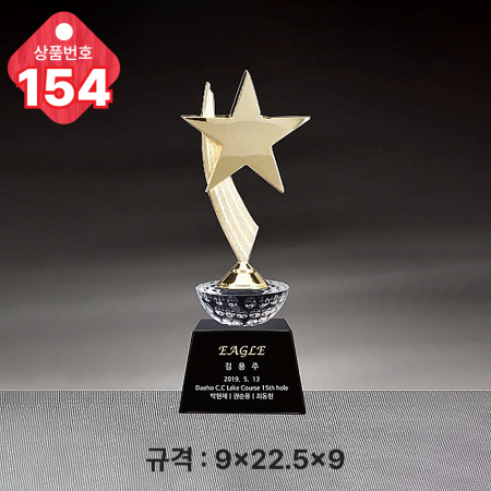 크리스탈 트로피 153 #5