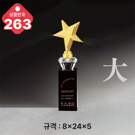 크리스탈 트로피 263 #3