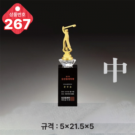 크리스탈 트로피 266 #5