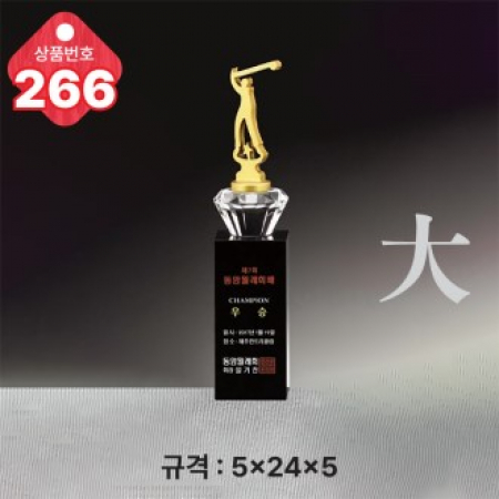 크리스탈 트로피 266 #2