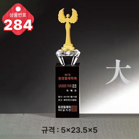 크리스탈 트로피 284 #3