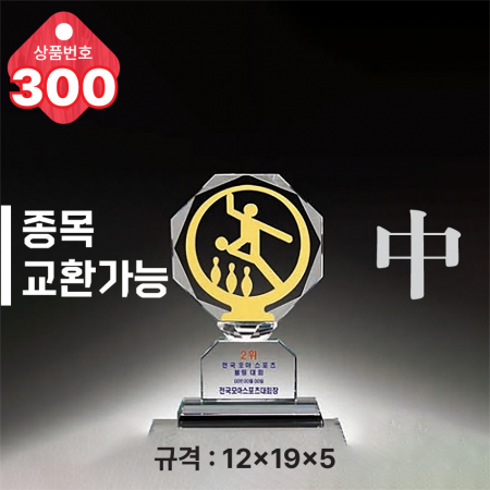 크리스탈 트로피 299 #5