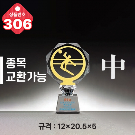 크리스탈 트로피 305 #5